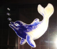 WindowColor-Delphin